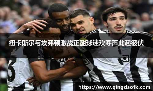 纽卡斯尔与埃弗顿激战正酣球迷欢呼声此起彼伏